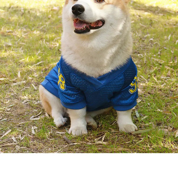 Keep your furry friend cool and stylish this summer with the CAIBAN Summer Pet Cooling Vest — perfect for small to large dogs, including French Bulldogs, Golden Retrievers, and more!