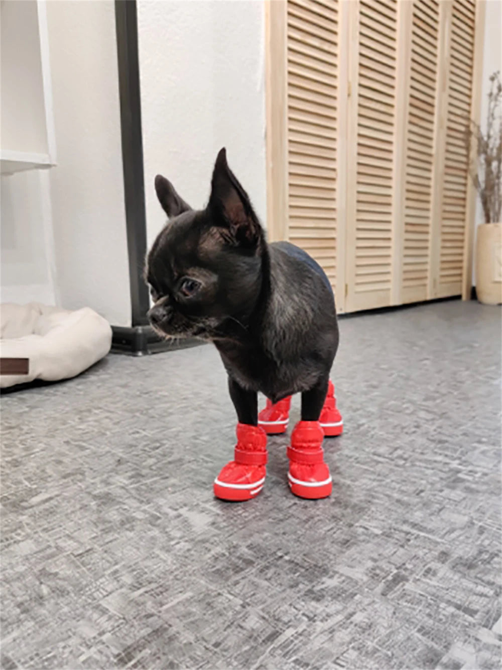 4 Pcs Winter Pet Dog Shoes For Small Dogs Waterproof Dog Snow Boots Warm Fleece Puppy Pet Shoes Chihuahua Cats Anti Slip Shoes