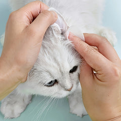200pcs Soft & Portable Pet Eye Wipes for Dogs & Cats Gentle Tear Stain Remover Cat Dog Ear Cleaning Wipes All Breed Sizes