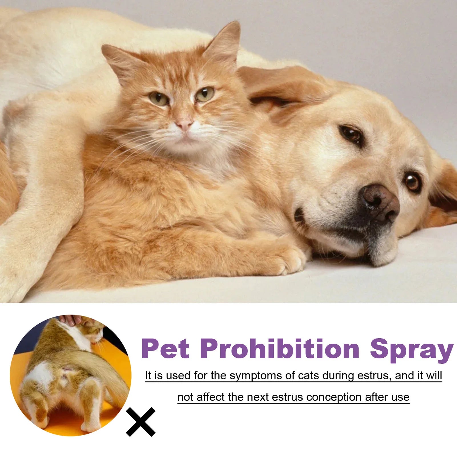 Pet Calming Spray Pet Supplies Pets Pheromone Calming Spray Improve Estrus Agitation Pet Anxiety Relief Spray for Cats Dogs 50ml
