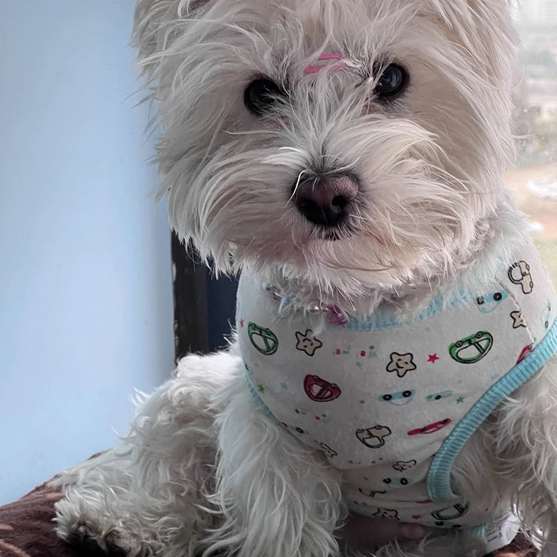 Cotton Vest Dogs Clothes For Small Dogs Chihuahua Clothes Summer Animals Cartoon Vest Dog T-Shirt For Small Dog Medium Yorkshire