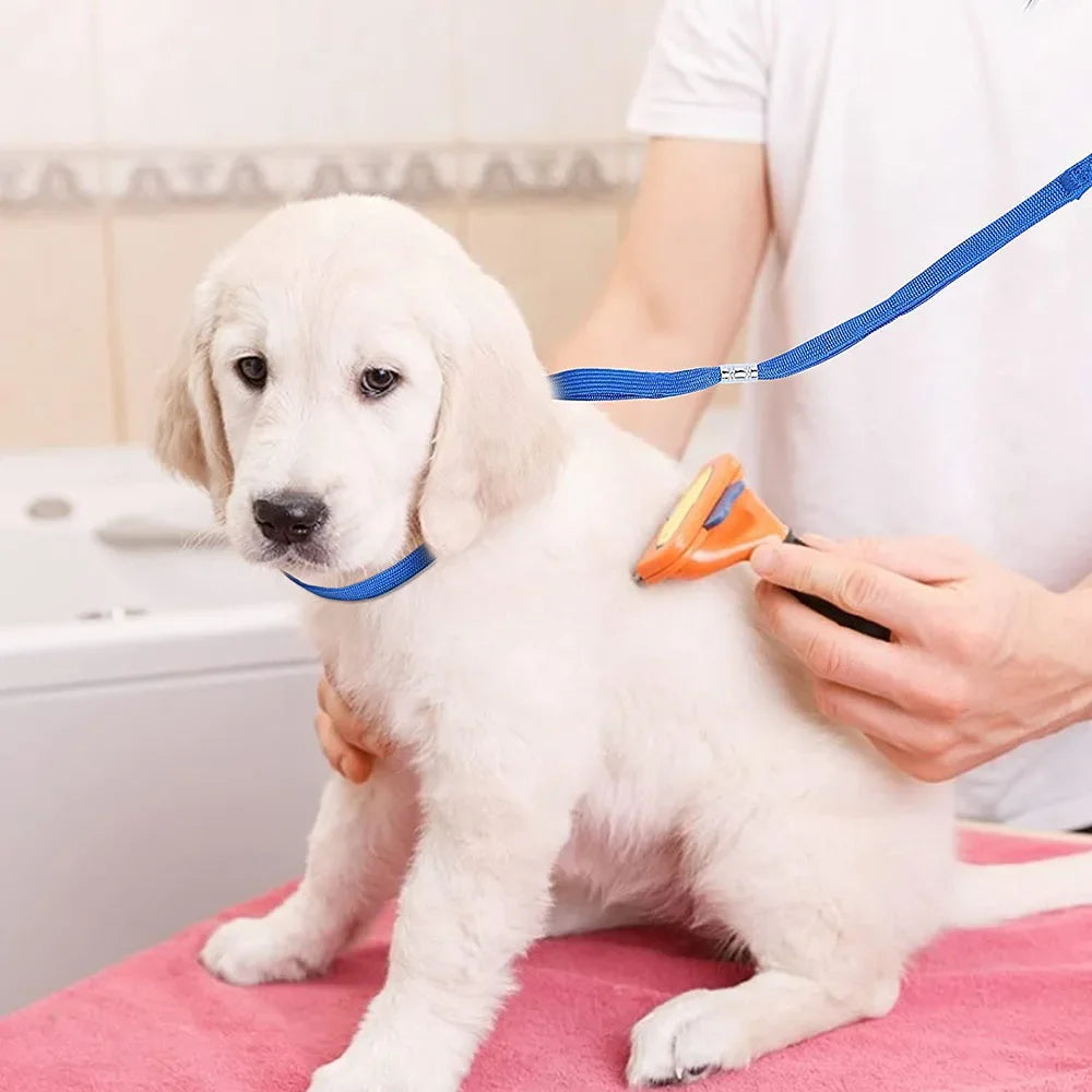 Adjustable Dog Cat Leash Leads for Pet Grooming Table Safety Rope Pet Grooming Loop Nylon Restraint Noose Pet Grooming Products