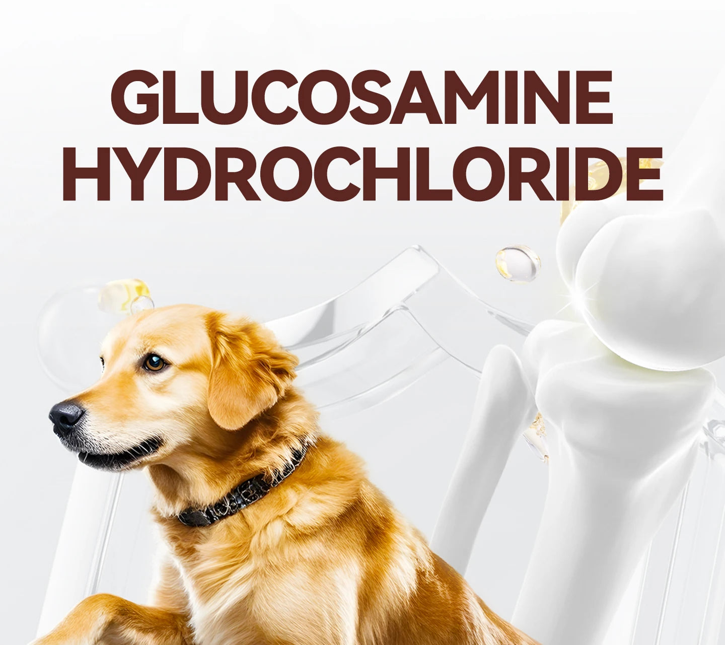 chanbuni Cat Food Food for Cats Cat Treats Treats for Cats Cat Calcium Tablets Joint Protection Exclusive for Pet Cats and Dogs