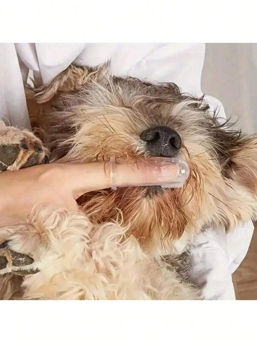 1pc Pet Finger Toothbrush for Dogs & Cats – Soft Silicone Brush for Breath Care & Gum Health, Portable, No Box Included