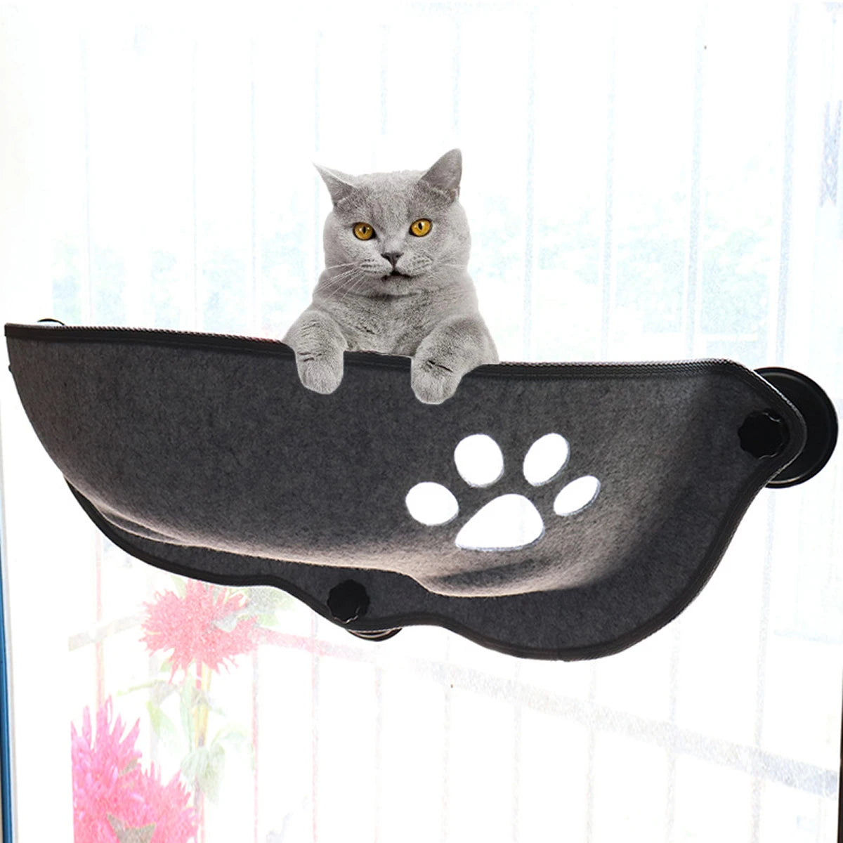 Hot Sale Pet Hammock Beds Bearing 20kg Cat Window Lounger Suction Hammock Pet Cat Window shelf Comfortable Cat Ferret Pet Bed