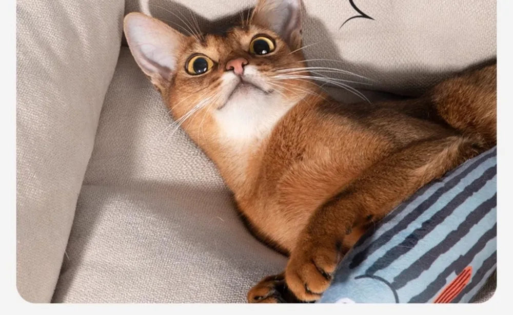 Simulation Fish Interactive Chew Toy for Cat, Catnip Toys, Pillow Toys for Kitty, Various styles，cute. Durable, premium