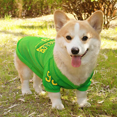 Keep your furry friend cool and stylish this summer with the CAIBAN Summer Pet Cooling Vest — perfect for small to large dogs, including French Bulldogs, Golden Retrievers, and more!