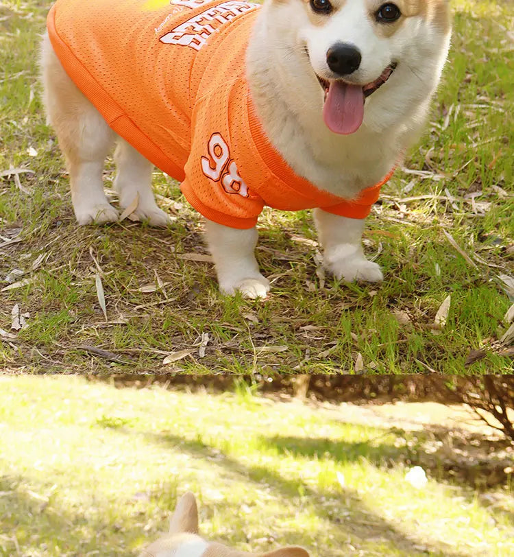 Keep your furry friend cool and stylish this summer with the CAIBAN Summer Pet Cooling Vest — perfect for small to large dogs, including French Bulldogs, Golden Retrievers, and more!