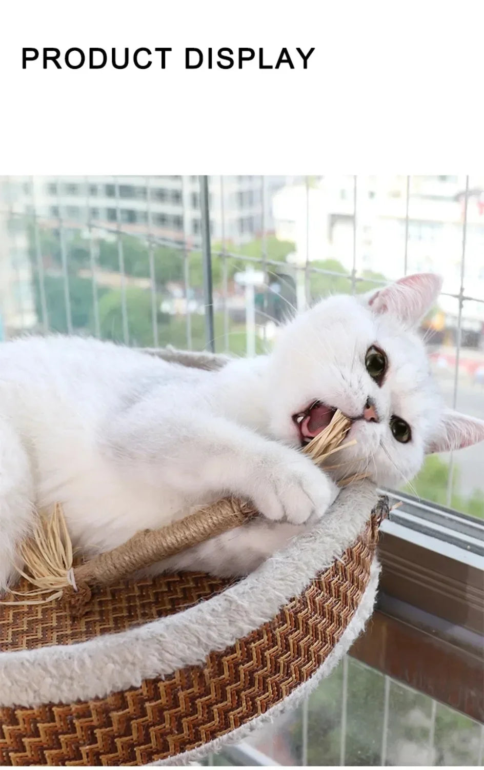 Catnip Cat Toys Natural Matatabi Pet Cat Snacks Stick Cleans Tooth Removers Hair Silvervine Kitten Chew Toy Promote Digestion