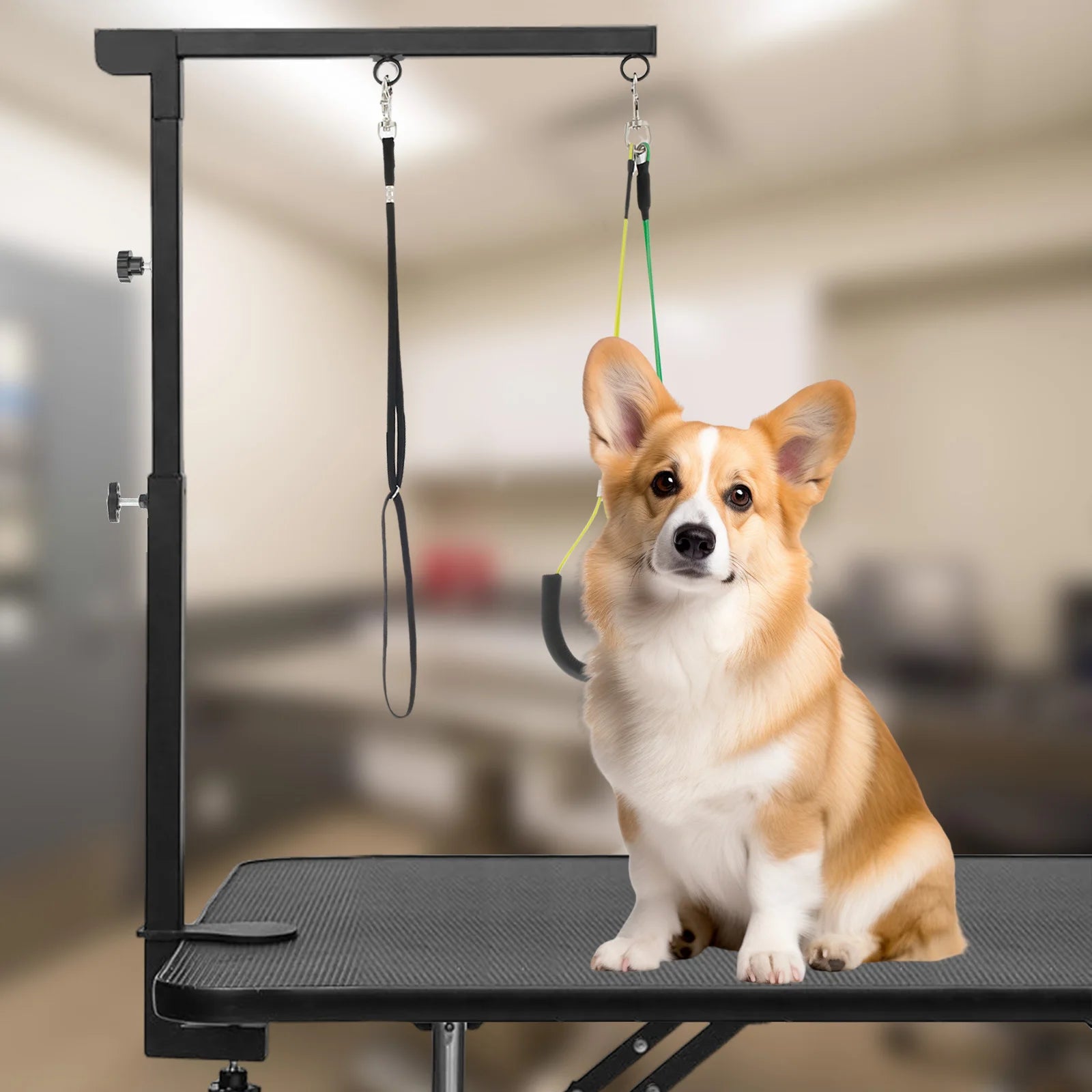 Dog Grooming Table Arm Iron Pet Grooming Stand with Clamp Height Adjustable Fixed Dog Beauty Stand for Pet Nail Clipping Haircut