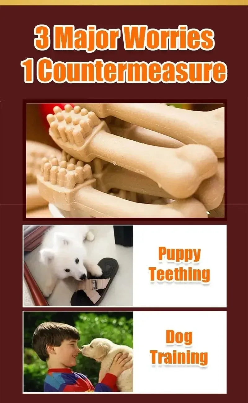 New Dog Bruxism Stick Toothbrush Bone Shape Fresh Natural Nutrition Healthy Adult Dogs Puppy Training Rewards Pet Food Snacks
