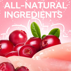 Chanbuni Cat Snack Food Cats Cat Food Food for Cats Sweets for Dogs Baby Valley for a Dog Natural Pet Treats