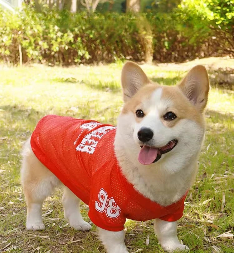 Keep your furry friend cool and stylish this summer with the CAIBAN Summer Pet Cooling Vest — perfect for small to large dogs, including French Bulldogs, Golden Retrievers, and more!