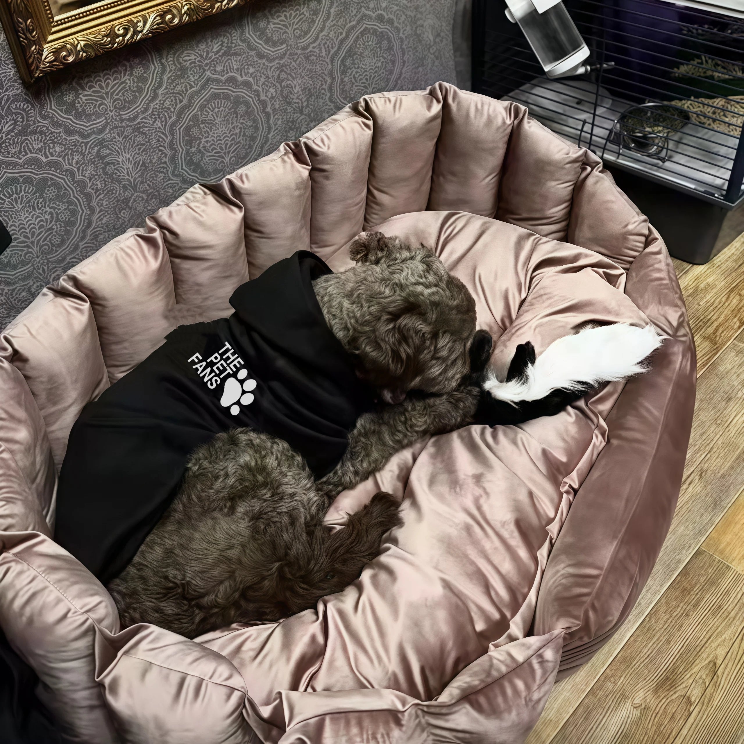 Winter new pet clothes dog  Autumn and clothes dog fashion sports coat outdoor dog Hoodie golden hair Labrador dog clothes