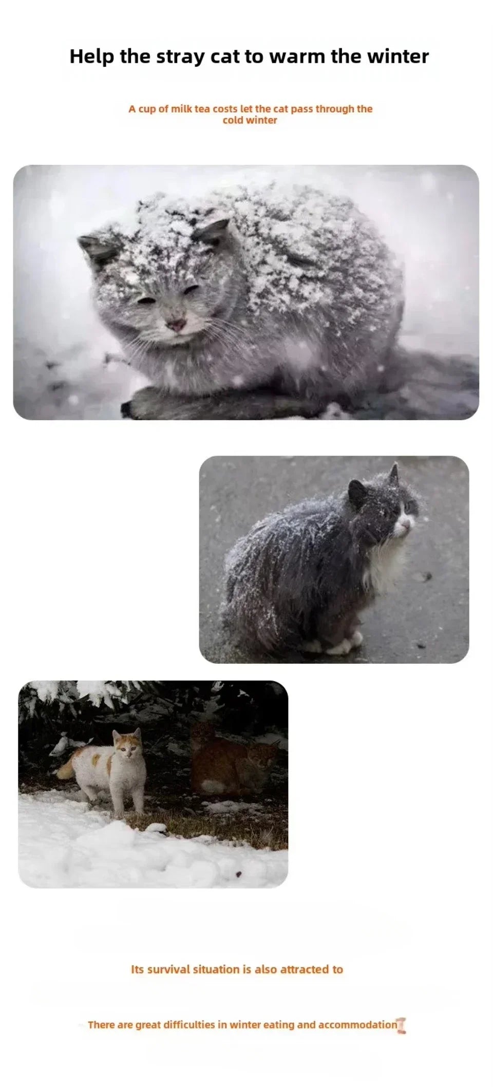 Cat Nest Waterproof Stray Cat House Outdoor Feral Large Capacity Pet Rainproof Moisture Large Winter Warm Love Stray Cat Nest