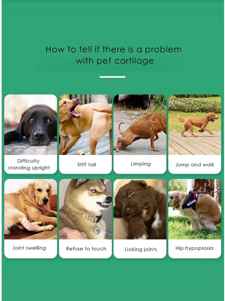 Chondroitin Tablets for Pet Dogs, Lubricating and Protecting Joints, Supplementing Nutrition for Elderly Dogs 200 Tablets