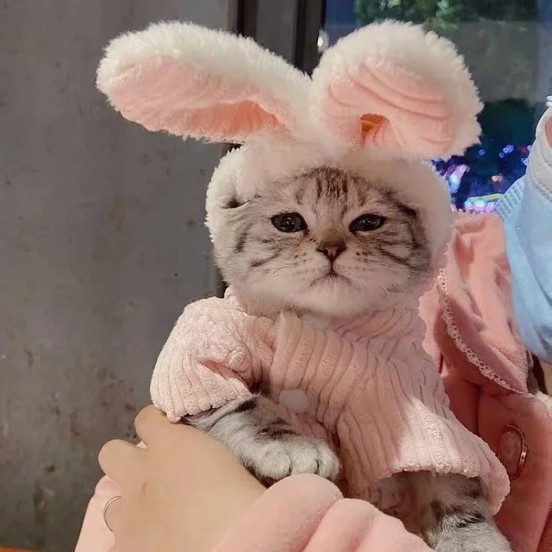 Warm Winter Clothes for Kittens Cute Bunny Appearance Cat Clothes Puppy Cute Coat Cats Dog Supplies Pet Products Home Garden