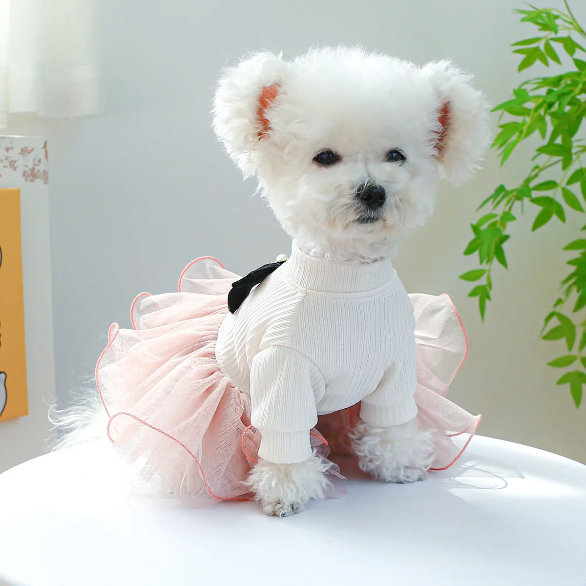 Spring Summer Pet Dog Cat Puppy Tutu Princess Dress Printed Lace Dog Skirt Pet Apparel Dog Dress