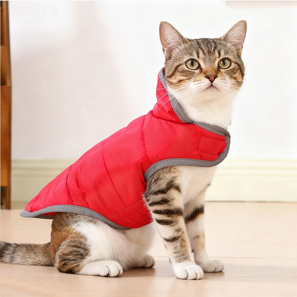 Reflective Pet Clothes Cute Windproof Reversible Kitten Jacket Coat Winter Warm Thicken Fleece Cat Costume For Small Cats Sphynx