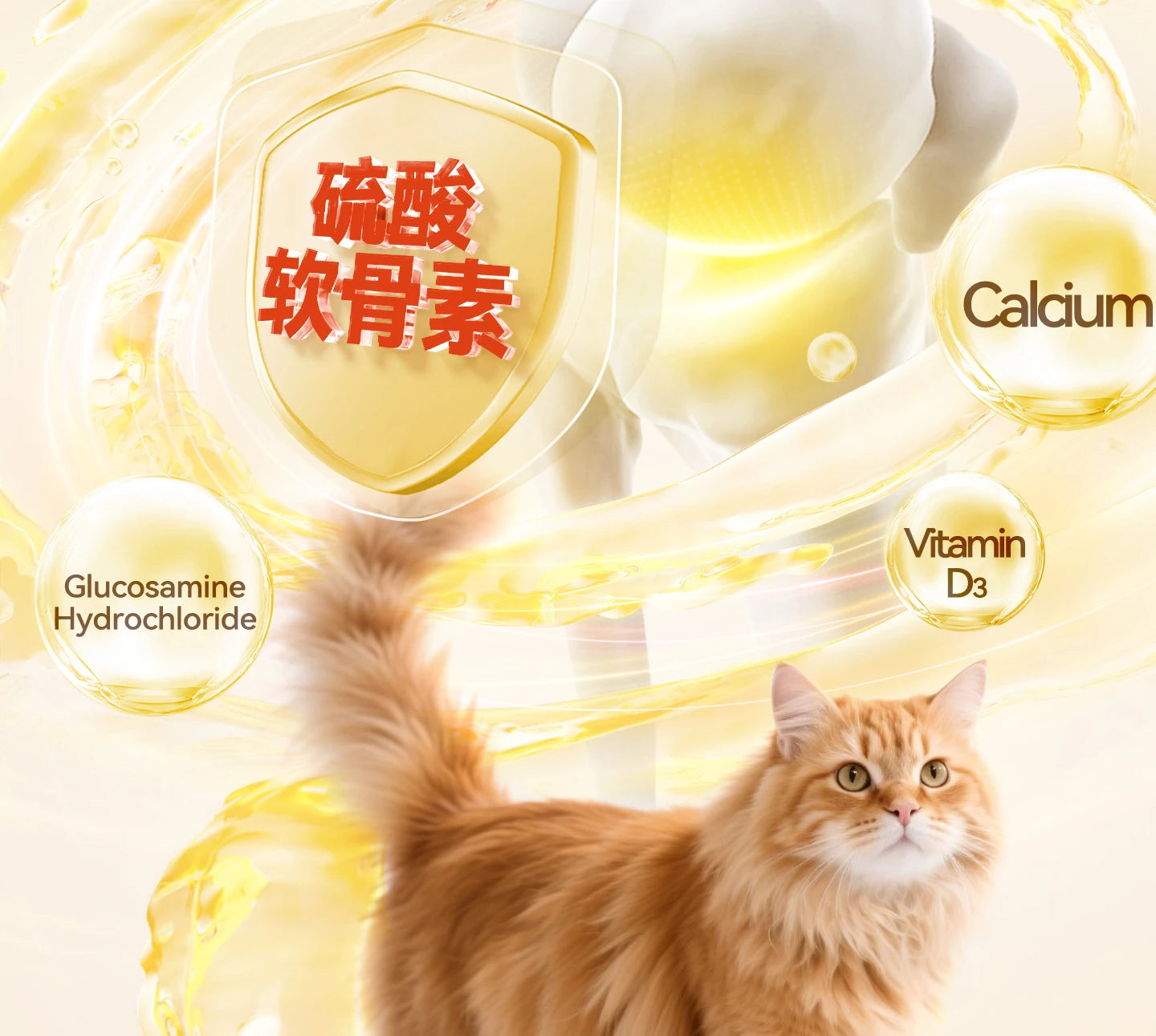 Chanbuni Cat Food Cat Snack Food for Cats Cat Supplies Premium Nutrition for Cats and Carats