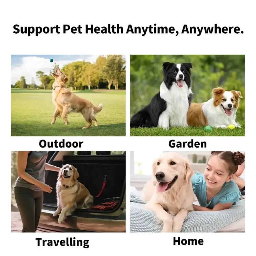 100pcs Pet Eye Wipes for Cats Dogs Tearmark Wet Wipes Cat and Dog Universal No Irritation Eye Care Cleaning Wipes Pet Supplies