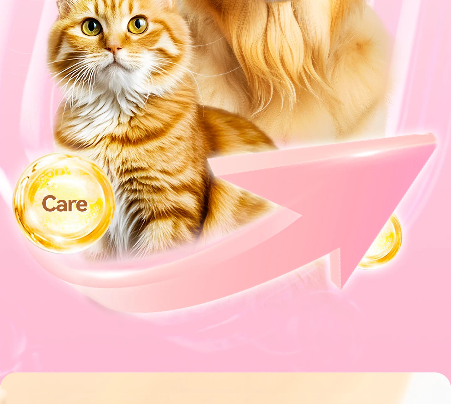 chanbuni Cat Food Food for Cats Cat Treats Treats for Cats Cat Calcium Tablets Joint Protection Exclusive for Pet Cats and Dogs