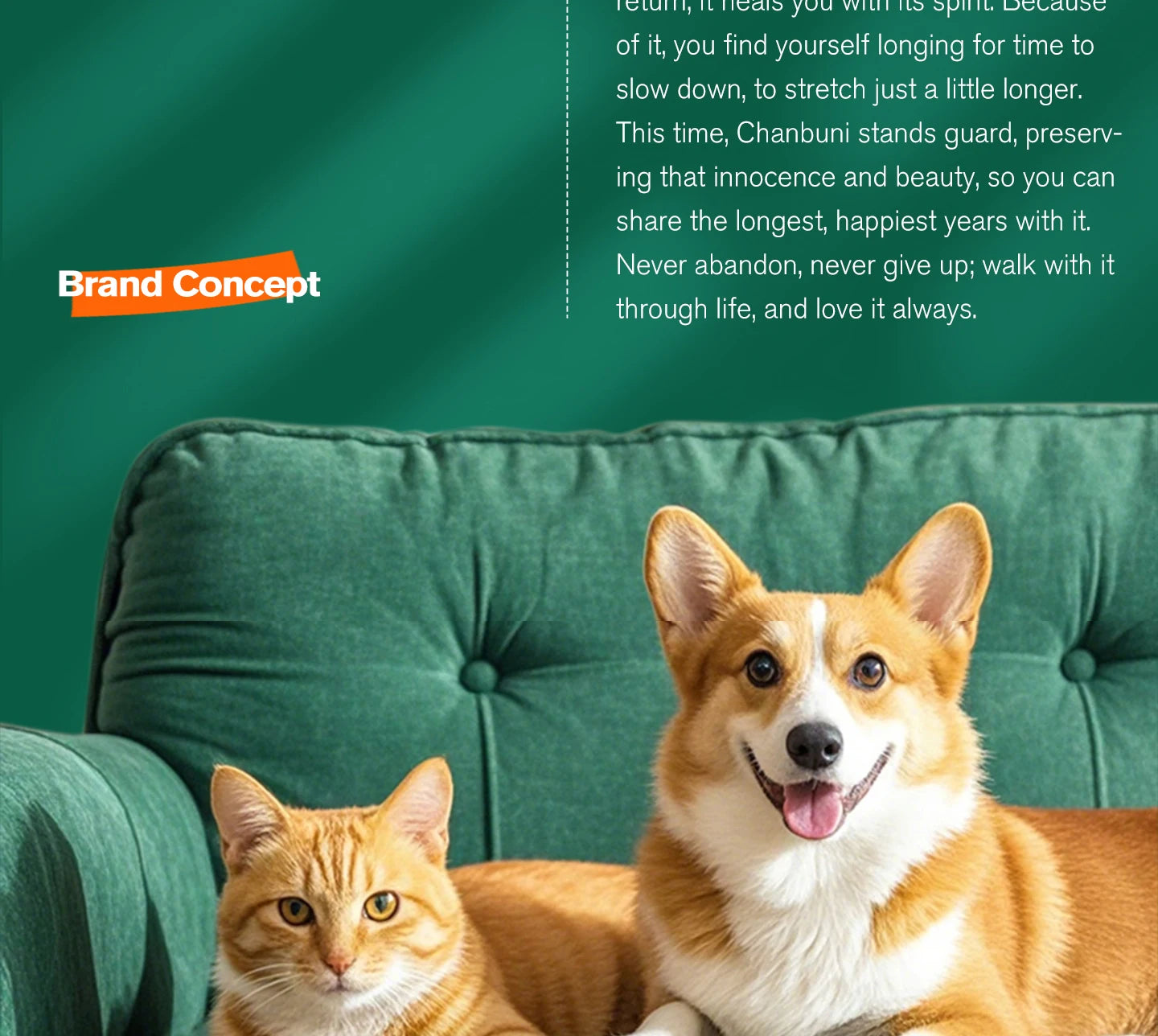 Chanbuni Cat Food Cat Snack Food for Cats Cat Supplies Premium Nutrition for Cats and Carats