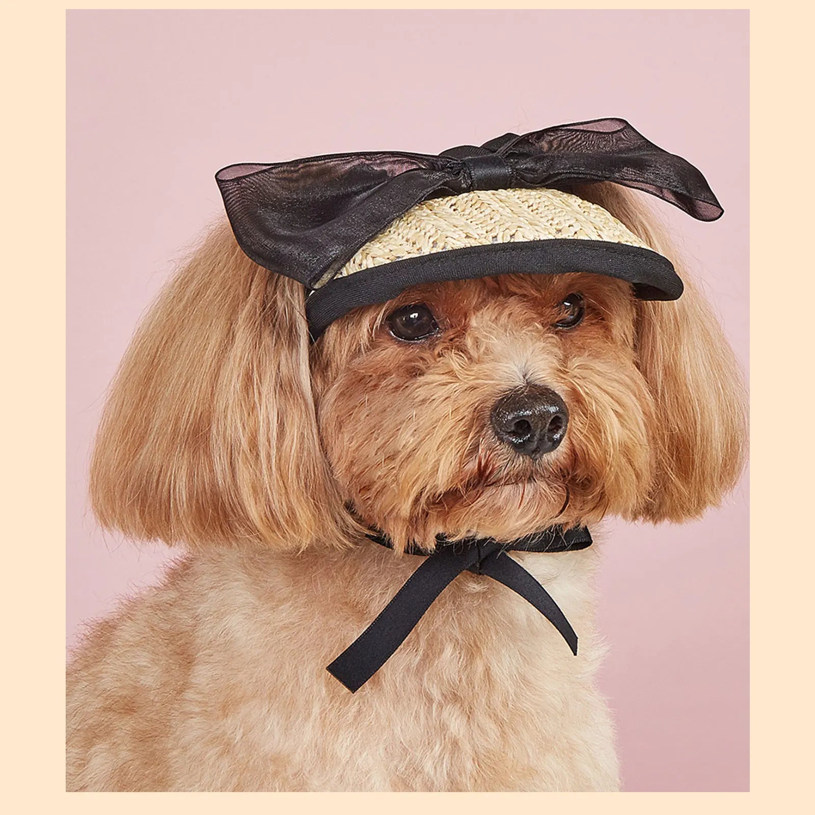 Summer Pet Sunshade Hat Adjustable Elastic Hat Fashionable And Versatile Lace Bow dog cat Hat
