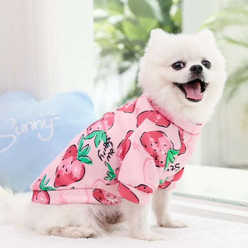 Small Dog Hoodie Coat Winter Warm Pet Clothes for Bulldog Chihuahua Shih Tzu Sweatshirt Puppy Cat Pullover Dogs