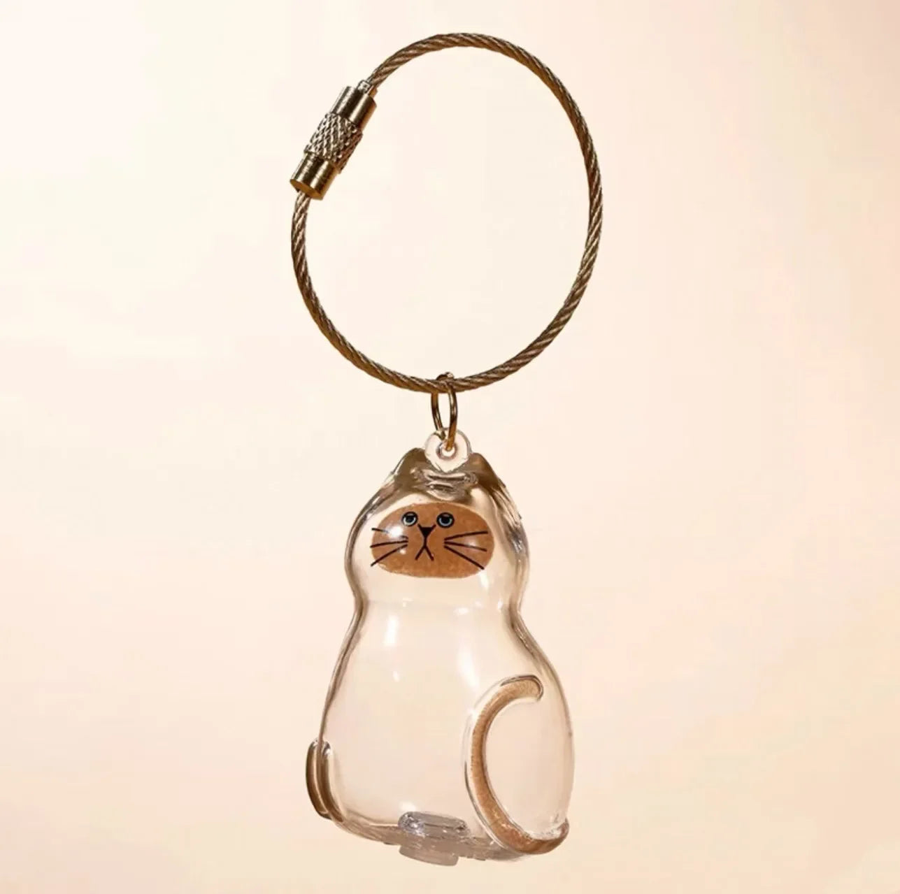 Transparent Cat Hair Storage Keychain Pendant Pet Fur Keepsake Memorial Souvenir for Backpack Bag Car Key Ginger Cat Lover Gift