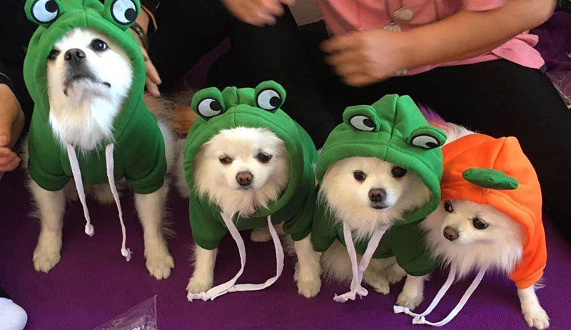 Winter Pet Hoodie Sweater Sports Cat Clothes for Cats Kitten Dog Pullovers Sweatshirt Fruit Animal Cosplay Pets Clothing Costume