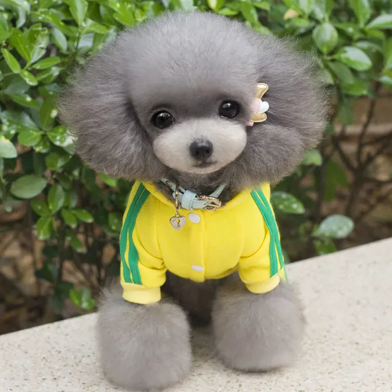 Adidog Winter Dog Jumpsuit | Thick Puppy Tracksuit for Small Dogs | Warm Pet Overalls & Hooded Outfit for Yorkie, Chihuahua & Pug