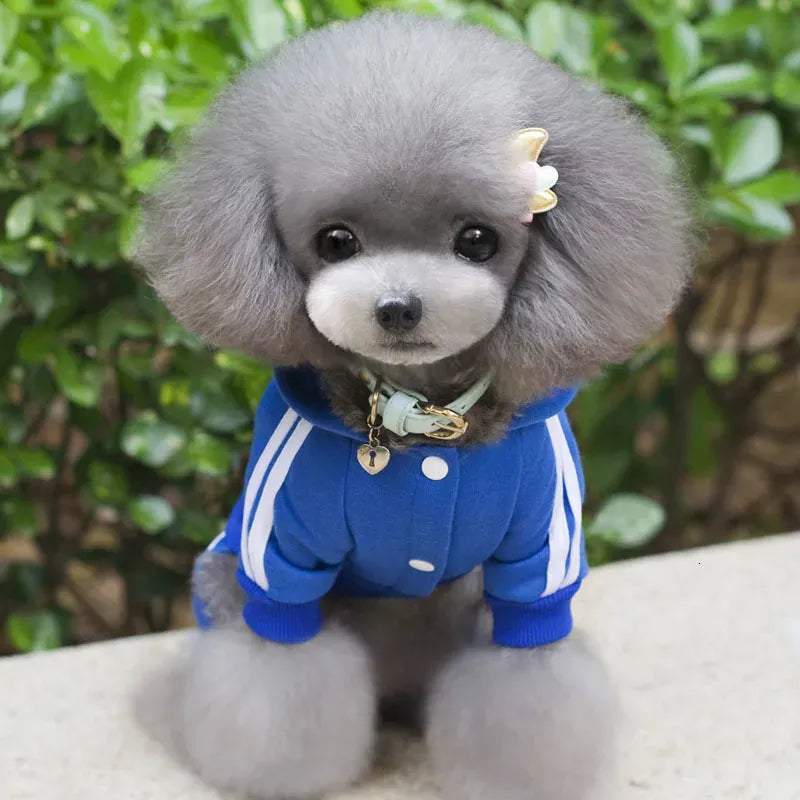 Adidog Winter Dog Jumpsuit | Thick Puppy Tracksuit for Small Dogs | Warm Pet Overalls & Hooded Outfit for Yorkie, Chihuahua & Pug