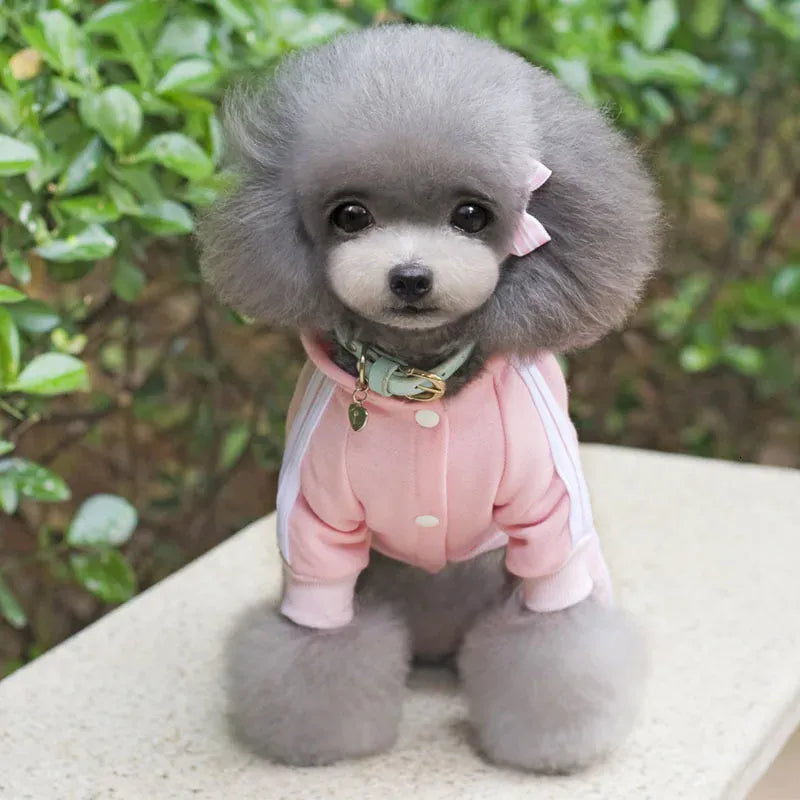 Adidog Winter Dog Jumpsuit | Thick Puppy Tracksuit for Small Dogs | Warm Pet Overalls & Hooded Outfit for Yorkie, Chihuahua & Pug