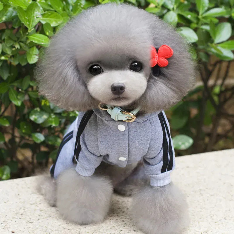 Adidog Winter Dog Jumpsuit | Thick Puppy Tracksuit for Small Dogs | Warm Pet Overalls & Hooded Outfit for Yorkie, Chihuahua & Pug