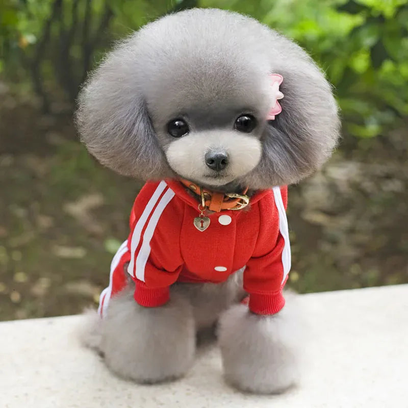 Adidog Winter Dog Jumpsuit | Thick Puppy Tracksuit for Small Dogs | Warm Pet Overalls & Hooded Outfit for Yorkie, Chihuahua & Pug