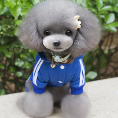 Adidog Winter Dog Jumpsuit | Thick Puppy Tracksuit for Small Dogs | Warm Pet Overalls & Hooded Outfit for Yorkie, Chihuahua & Pug