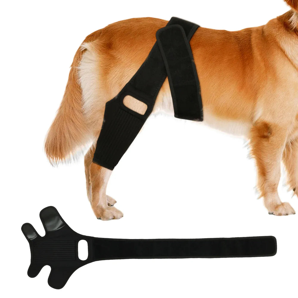 Adjustable Dog Knee Brace - Hip & Leg Support with Metal Bars for Luxating Patella, Post-Surgery Recovery & Joint Pain Relief