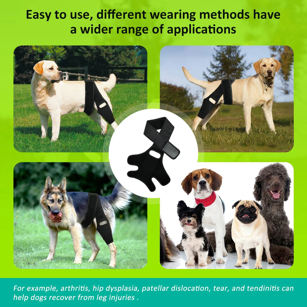 Adjustable Dog Knee Brace - Hip & Leg Support with Metal Bars for Luxating Patella, Post-Surgery Recovery & Joint Pain Relief