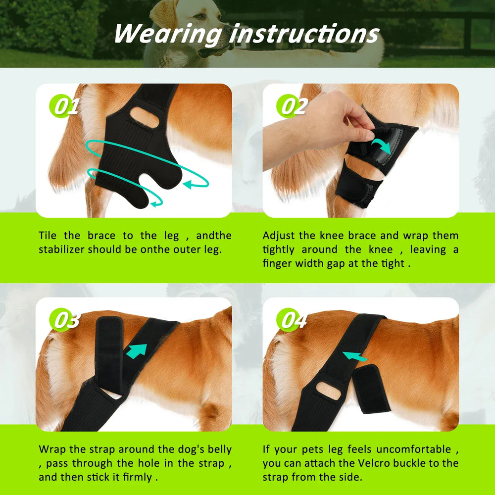Adjustable Dog Knee Brace - Hip & Leg Support with Metal Bars for Luxating Patella, Post-Surgery Recovery & Joint Pain Relief