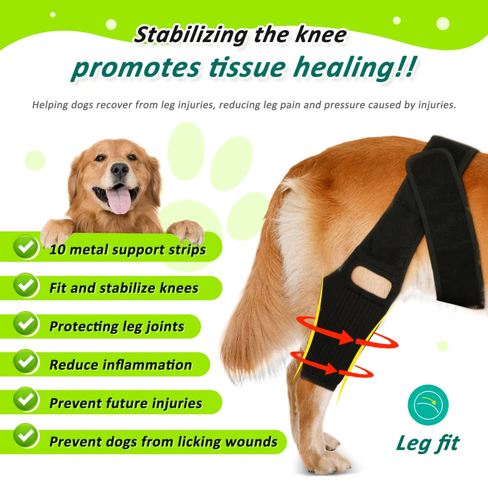 Adjustable Dog Knee Brace - Hip & Leg Support with Metal Bars for Luxating Patella, Post-Surgery Recovery & Joint Pain Relief