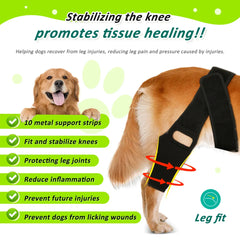 Adjustable Dog Knee Brace - Hip & Leg Support with Metal Bars for Luxating Patella, Post-Surgery Recovery & Joint Pain Relief