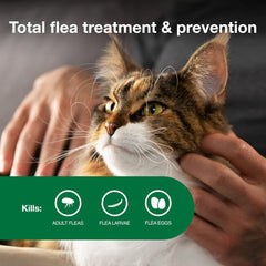 Advantage II Flea Treatment for Cats | Fast-Acting Flea Protection | Large Cats Over 9 lbs | 6 Month Supply
