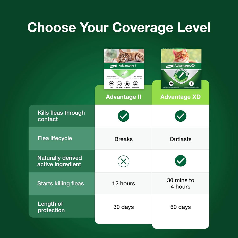 Advantage II Flea Treatment for Cats | Fast-Acting Flea Protection | Large Cats Over 9 lbs | 6 Month Supply