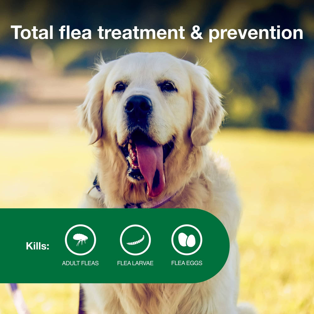 Advantage II Large Dog – Vet-Recommended Flea Treatment & Prevention for Dogs 21-55 lbs, 6-Month Supply