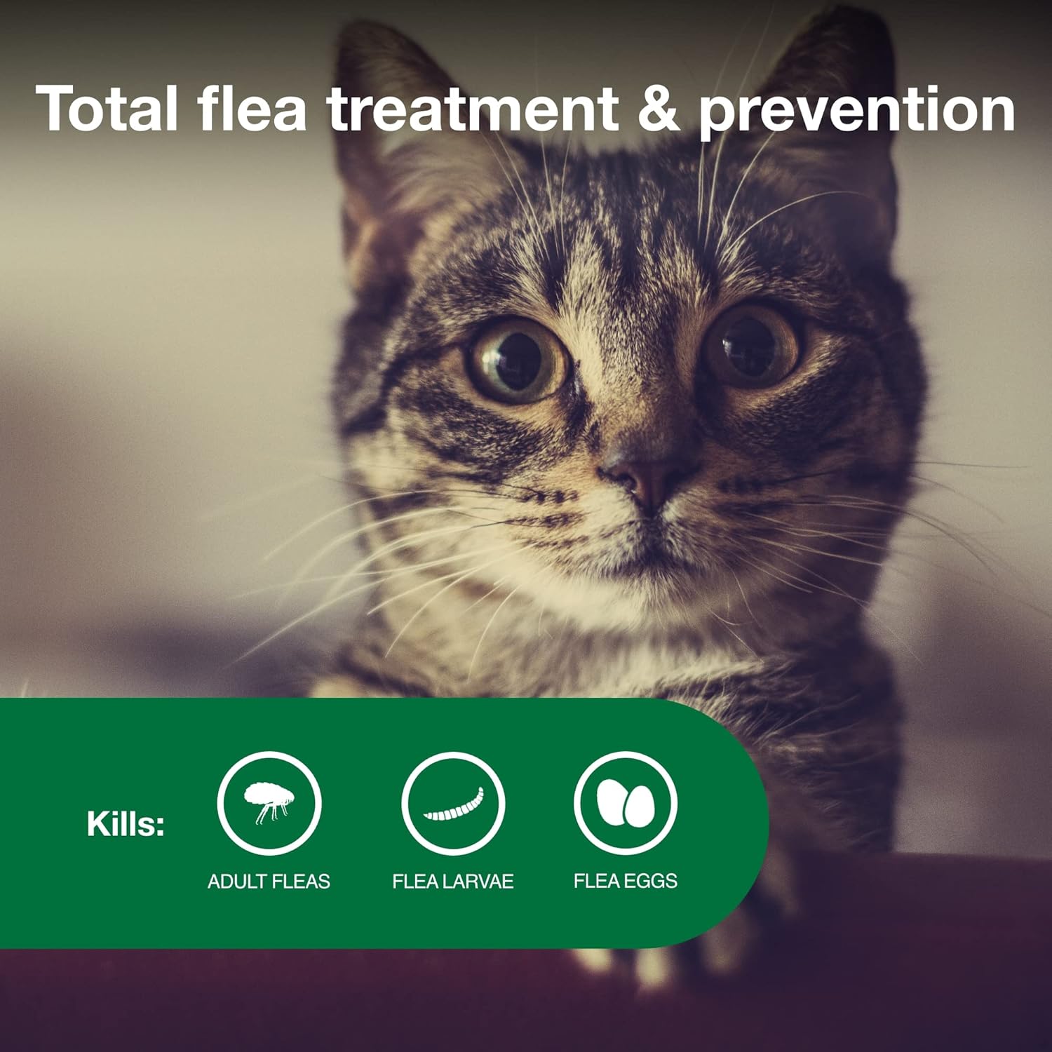 Advantage II Small Cat – Vet-Recommended Flea Treatment & Prevention for Cats 5-9 lbs, 6-Month Supply