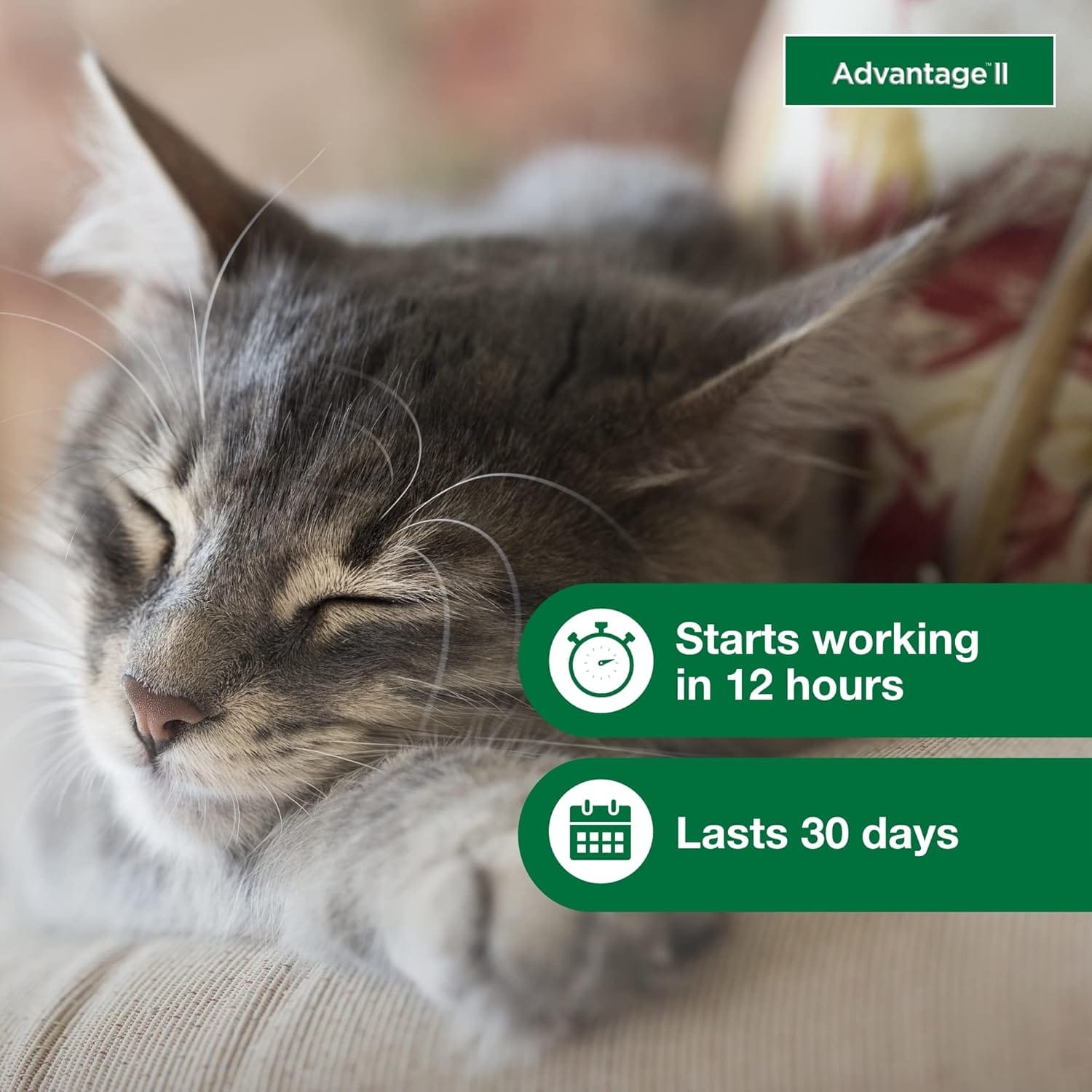 Advantage II Small Cat – Vet-Recommended Flea Treatment & Prevention for Cats 5-9 lbs, 6-Month Supply