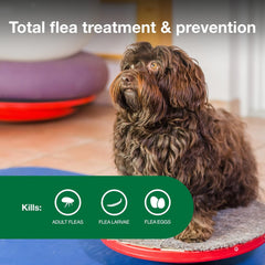 Advantage II Small Dog – Vet-Recommended Flea Treatment & Prevention for Dogs 3-10 lbs, 4-Month Supply