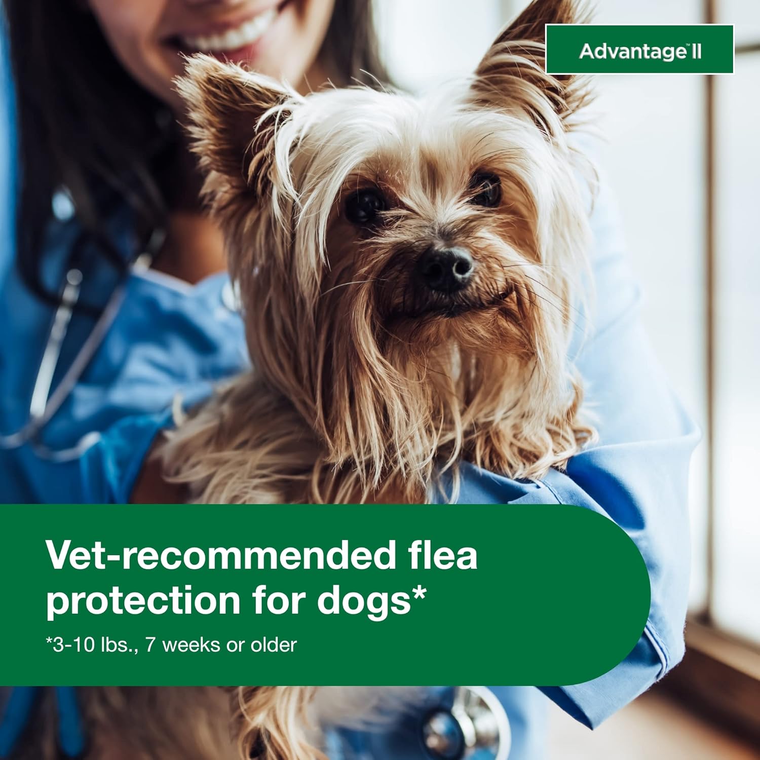 Advantage II Small Dog – Vet-Recommended Flea Treatment & Prevention for Dogs 3-10 lbs, 4-Month Supply