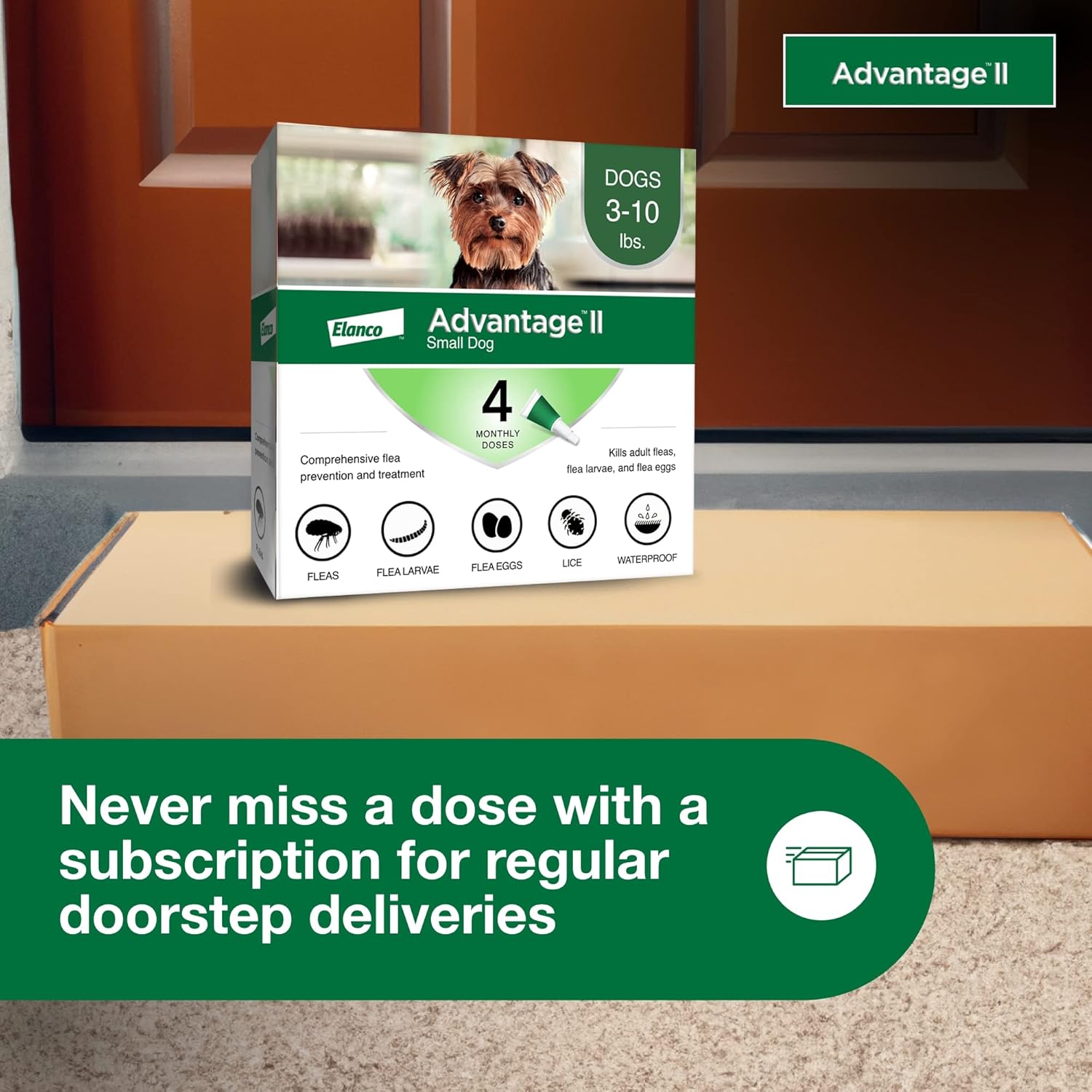 Advantage II Small Dog – Vet-Recommended Flea Treatment & Prevention for Dogs 3-10 lbs, 4-Month Supply